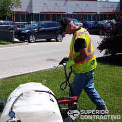 lawn care in winnipeg