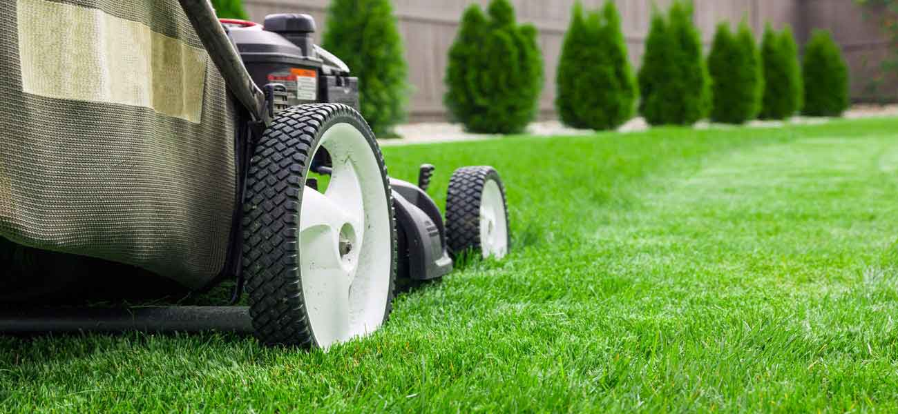 winnipeg lawn care